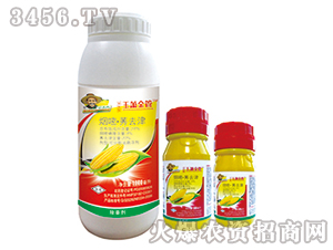 24%����ݬȥ��ɝ��Էۄ�+��ȫ��-�񺍽��-�G�µ�