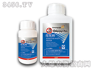 ����������-���r