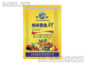 �{���S���-̼ø-�������� 