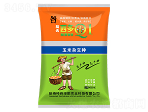 ����Q1-�����s���N-�G�i�r�I(y��)