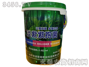 �������߾�-�A���s��