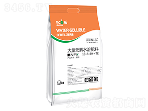 ����ʹ���Ԫ��ˮ�ܷ���13-6-40+TE-��̩�S-˹��ķ