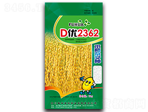 D��(y��u)2362-ˮ���s���N-���A�߿�