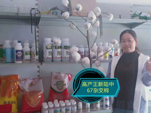 �����67�s����-���SԪ