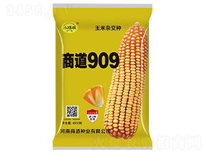 �̵�909�����s���N-С����-�̵��N�I(y��)