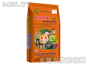 ���������ȩ��ጷ���16-8-18-��������