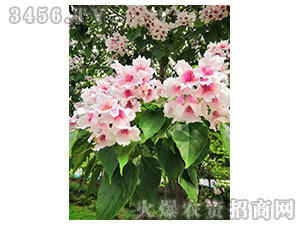 2020��鱘�ӆ�λ����(xi��ng)Ŀ13