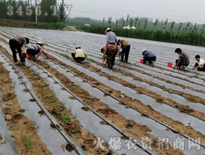 2020��鱘�(sh��)ӆ�λ����(xi��ng)Ŀ11