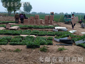 2020��鱘�(sh��)ӆ�λ����(xi��ng)Ŀ10