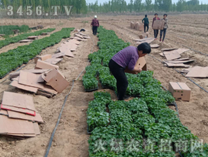 2020��鱘�ӆ�λ����(xi��ng)Ŀ8