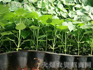 2020��鱘�(sh��)ӆ�λ����(xi��ng)Ŀ4