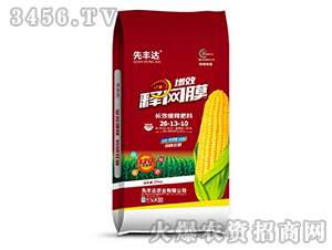 �LЧ��ጷ���28-13-10���t��-��ЧጾW(w��ng)Ĥ-���S�_