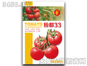 �۶�33-���t���N��-ԥˇ