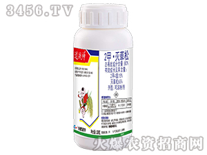 80%2�ס������-����(zh��n)��-�Ϸ�����