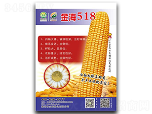 金海518-玉米種子-金海農(nóng)創(chuàng)