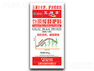 ��Ĥ��ጷ���28-6-6-�����S