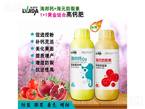 海藻螯合鈣+鈣鎂鋅錳鐵-豆本行