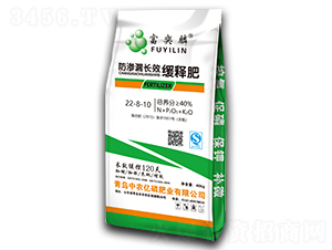 ���B©�LЧ��ጷ�22-8-10-������-���r(n��ng)�|��