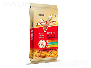 ��ጷ���28-12-13-��Դ��ʢ