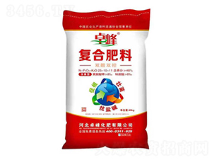 �p���p�؏ͺϷ���25-10-11-׿��