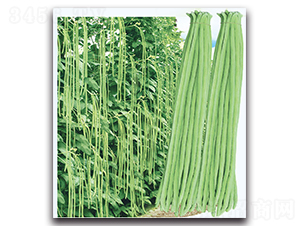 ���Ѷ���-���ǷN��-�F������