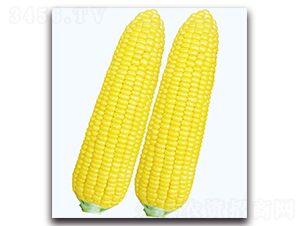 ������һ̖(h��o)����-�����׷N��-�F(xi��n)������