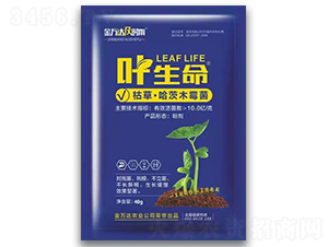 葉生命-金萬達(dá)及時(shí)雨