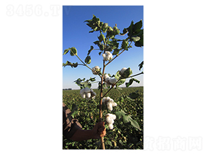 �����27̖(h��o)-�޻��N��-�����r(n��ng)�I(y��)