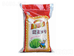 ����8̖-С���N��-����N�I(y��)