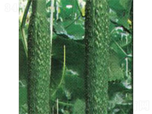 ���A��̖-�S�ϷN��-���A�N�I(y��)