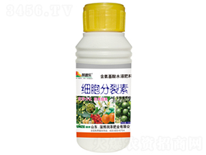 ��(x��)��������-���՘�-��(r��n)�ɷʘI(y��) 