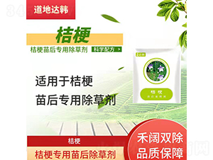 �۹����������݄�-�����_(d��)�n