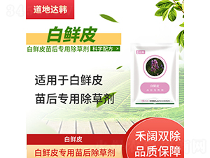 ���rƤ���������݄�-�����_(d��)�n