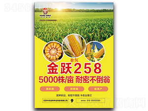 ���S258-���׷N��-���r���