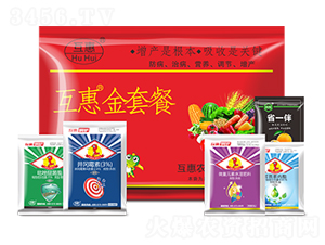 ���ײ�-����