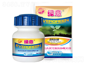 營(yíng)養(yǎng)生長(zhǎng)期專用葉面肥-綠意-吉順