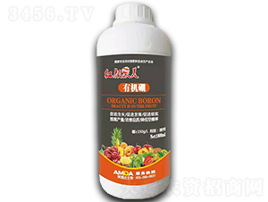 �ЙC��-�t���-��ķ�_