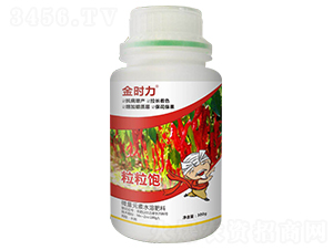 辣椒粒粒飽-金時力-大農(nóng)生物