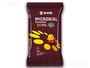 雙源+型微生物菌劑-植知源-明英工貿