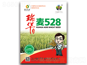 ���A��528-С���N��-���A�r(n��ng)�I(y��)