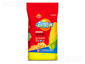 ��ጷ���24-12-12-�ļӝM-�V���ƈD