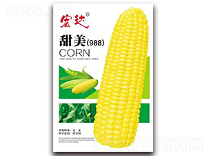 ����988-���׷N��-���_(d��)