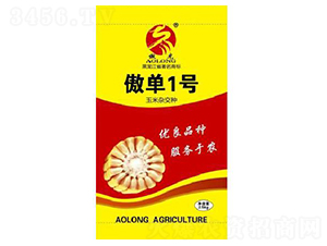 ����1̖(h��o)-���׷N��-����