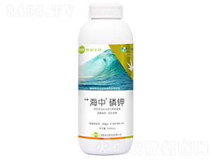 磷鉀有機水溶肥料-海中-世睿生物