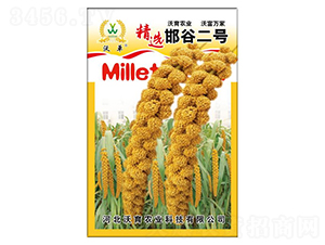 邯谷一號-水稻種子-沃育農業(yè)