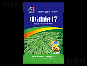 �����s17-���ƷN�I(y��)