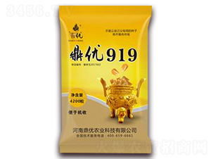 ����(y��u)919-���׷N��-����(y��u)�r(n��ng)�I(y��)