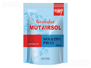 �w����-��֮���r(n��ng)�I(y��)