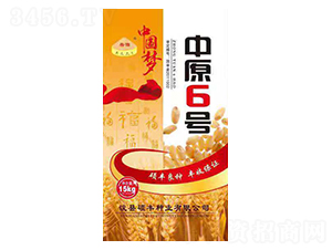 中原6號-小麥種子-碩豐