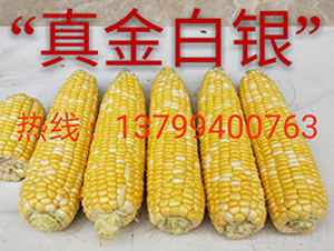 �����y-ˮ�����׷N��-ӳɽ��